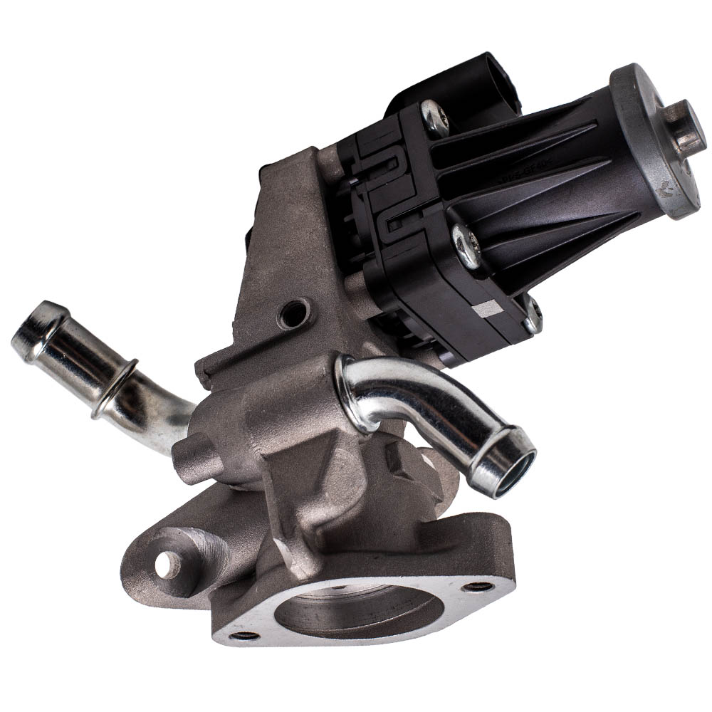 EGR Valve for Ford Ranger Transit Peugeot Boxer Citroën Relay 2.2