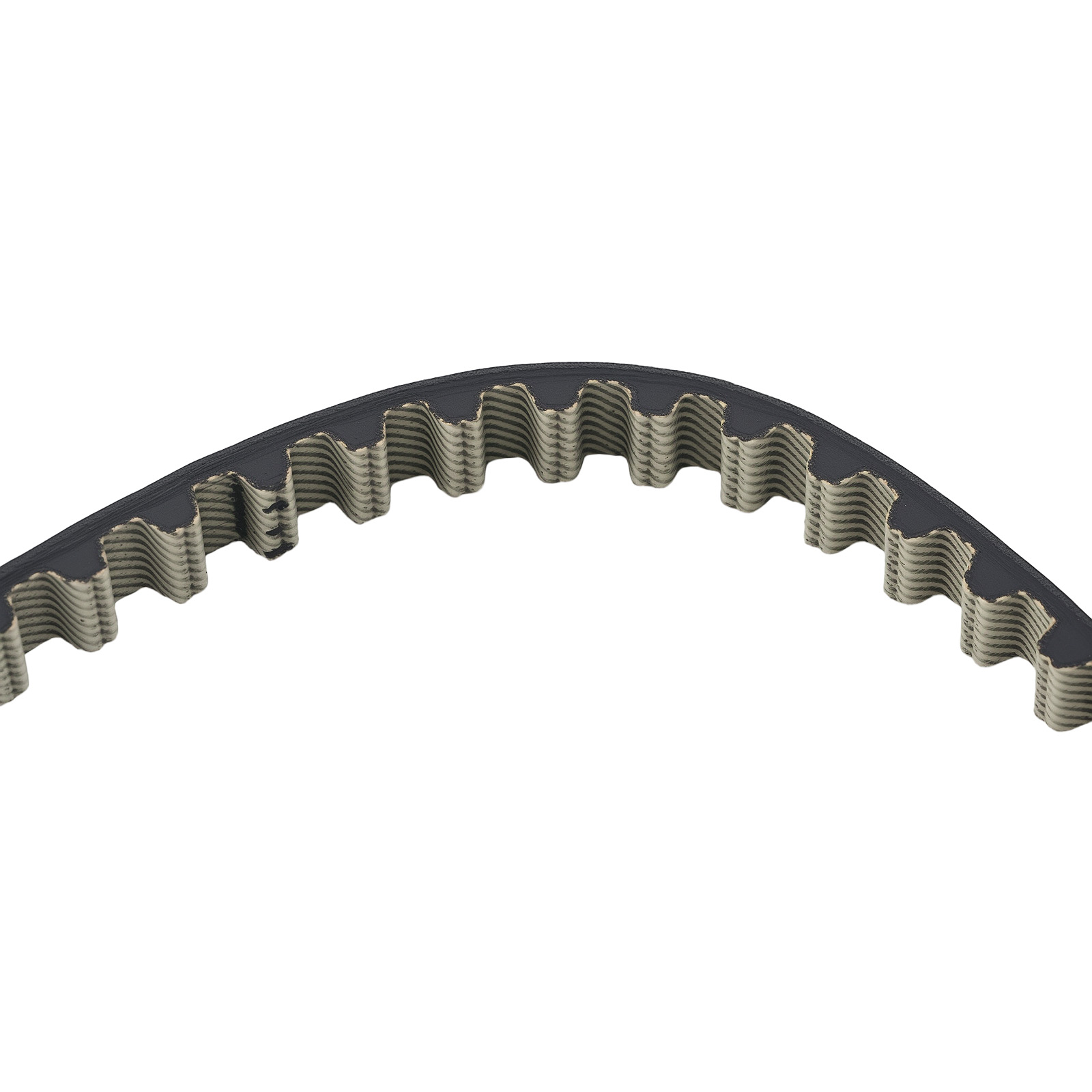 Timing Belt Kit and Oil Pump Belt  for Ford Ecosport 1.0 EcoBoost 2013-2022