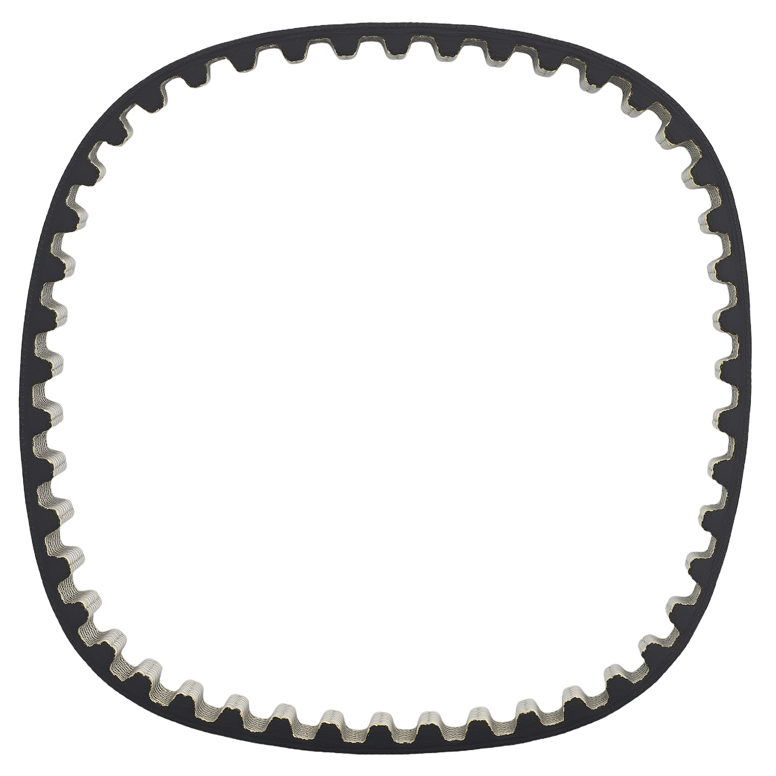 Timing Belt Kit and Oil Pump Belt  for Ford Ecosport 1.0 EcoBoost 2013-2022